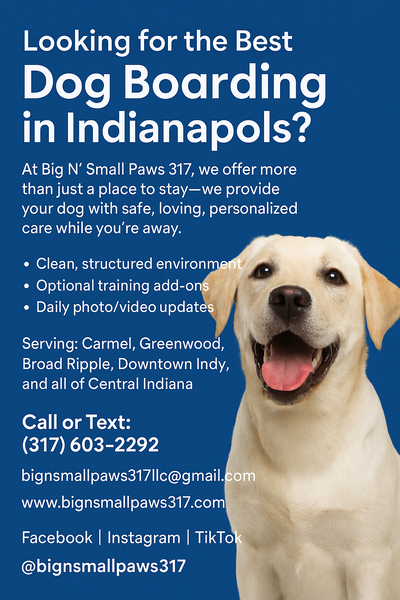 Cover photo of Big N' Small Paws 317